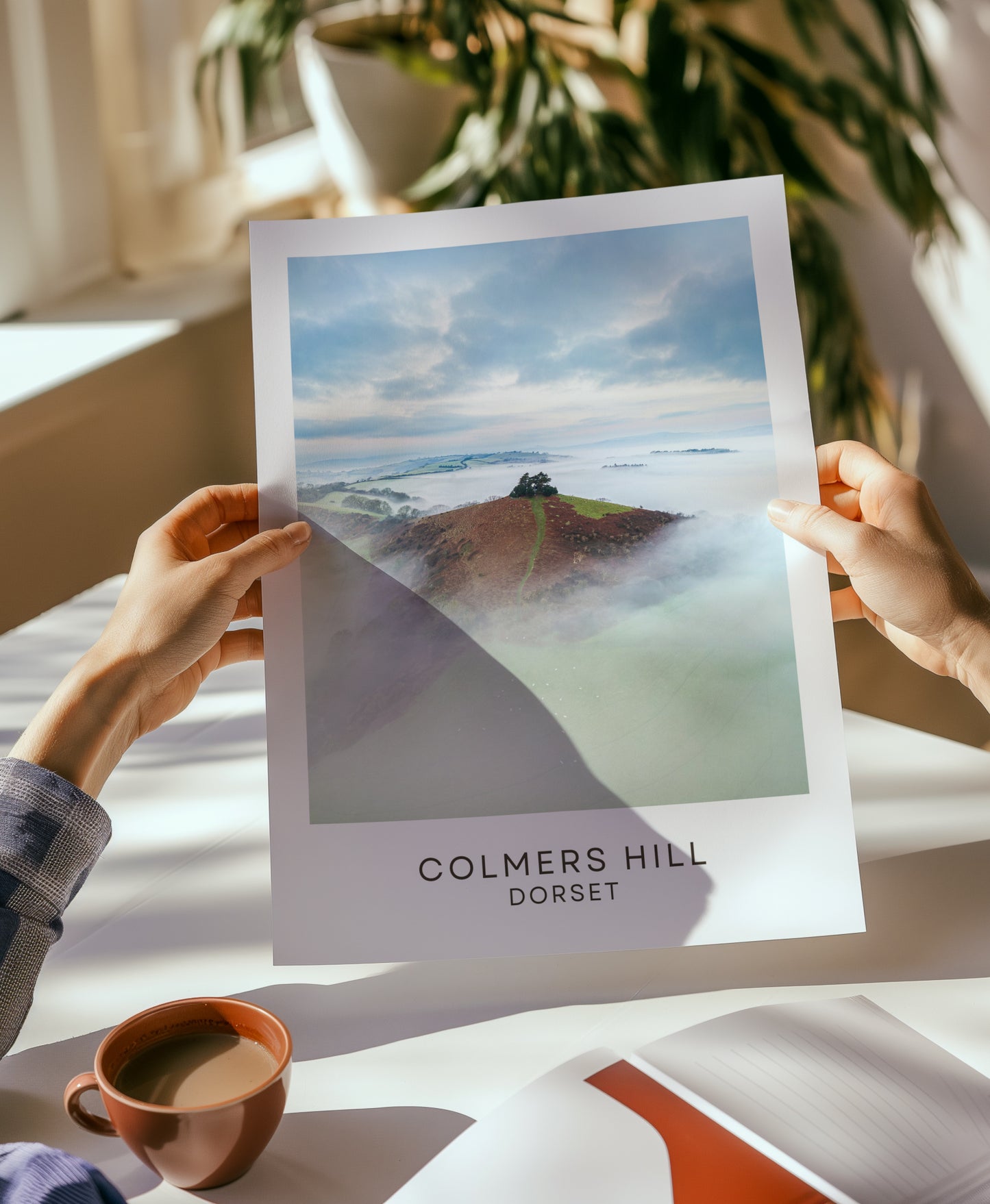 Colmers Hill | Travel Print | Dorset