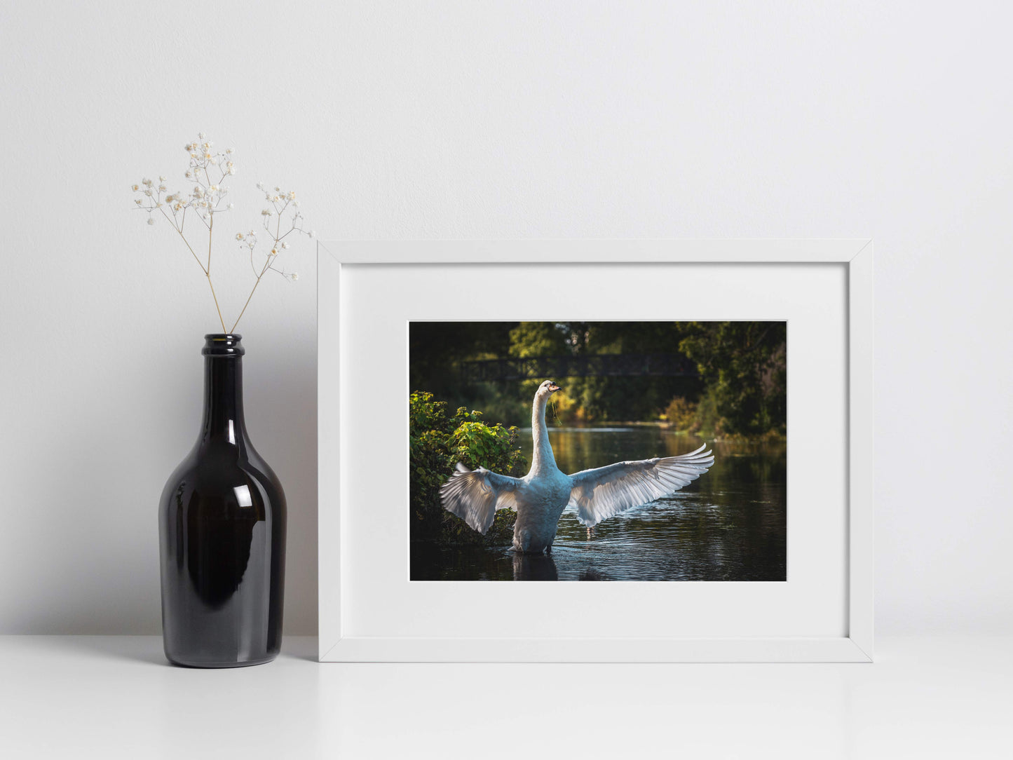 Swan On The Stour - Blandford Forum | Dorset
