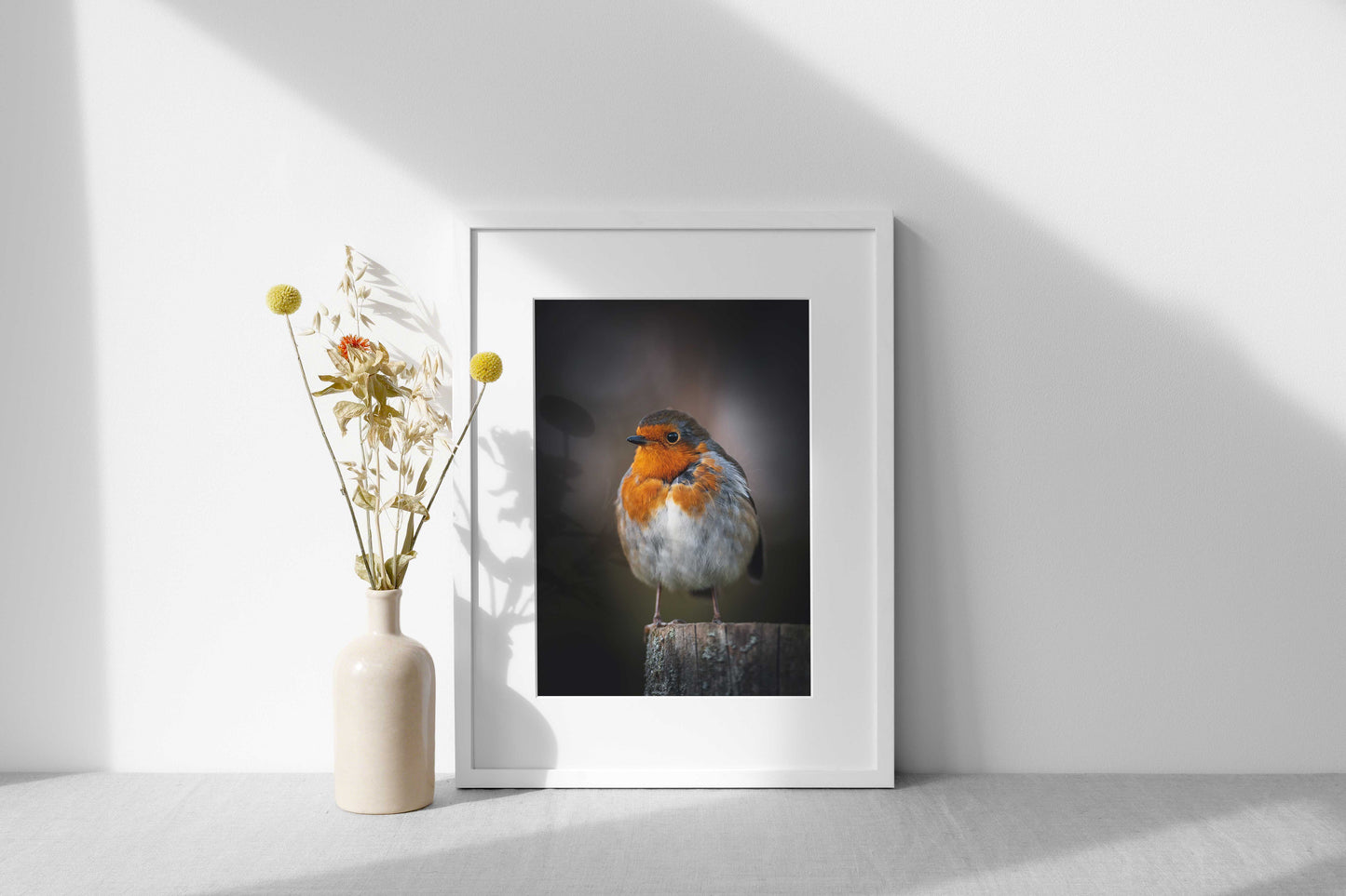 Radipole Robin - Weymouth | Dorset