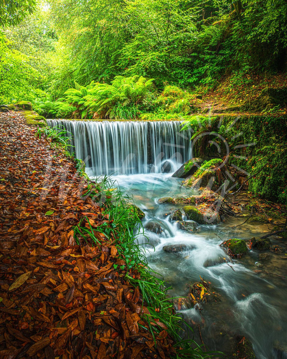 Long exposure woodland waterfall at Menacuddle near St Austell, Cornwall