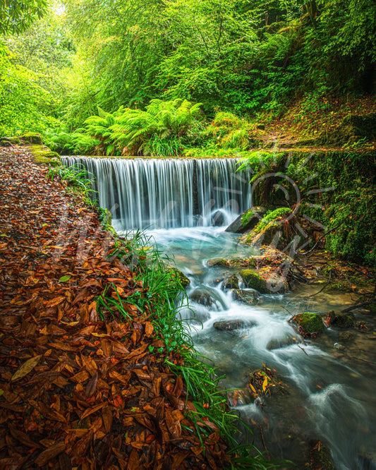 Long exposure woodland waterfall at Menacuddle near St Austell, Cornwall