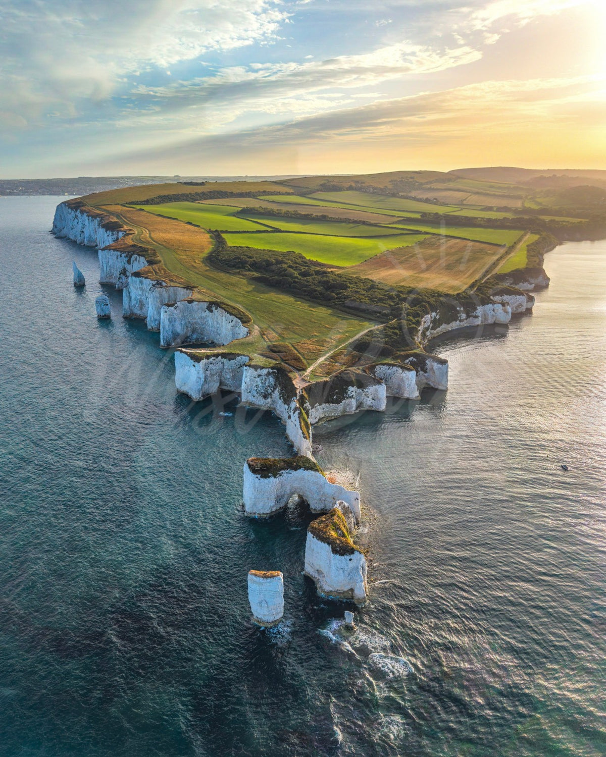 Aerial view of Old Harry Rocks and Handfast Point at Studland, Dorset in warm evening light