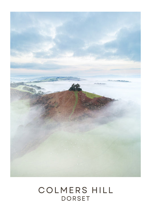 Colmers Hill | Travel Print | Dorset
