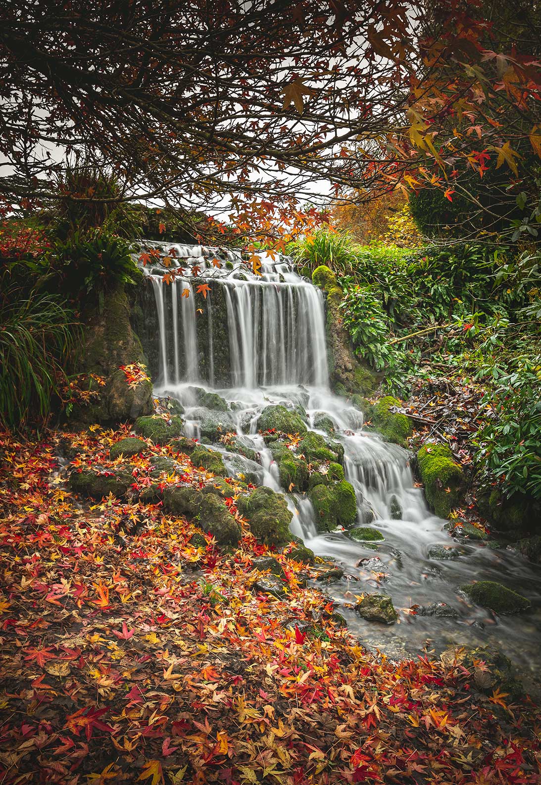 Autumn Waterfall - Littlebredy | Dorset