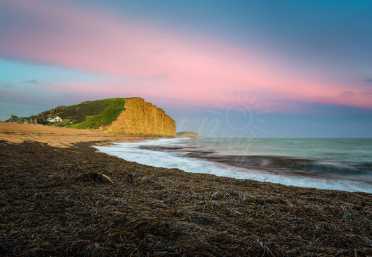 Seaweed At Sunset - West Bay | Dorset