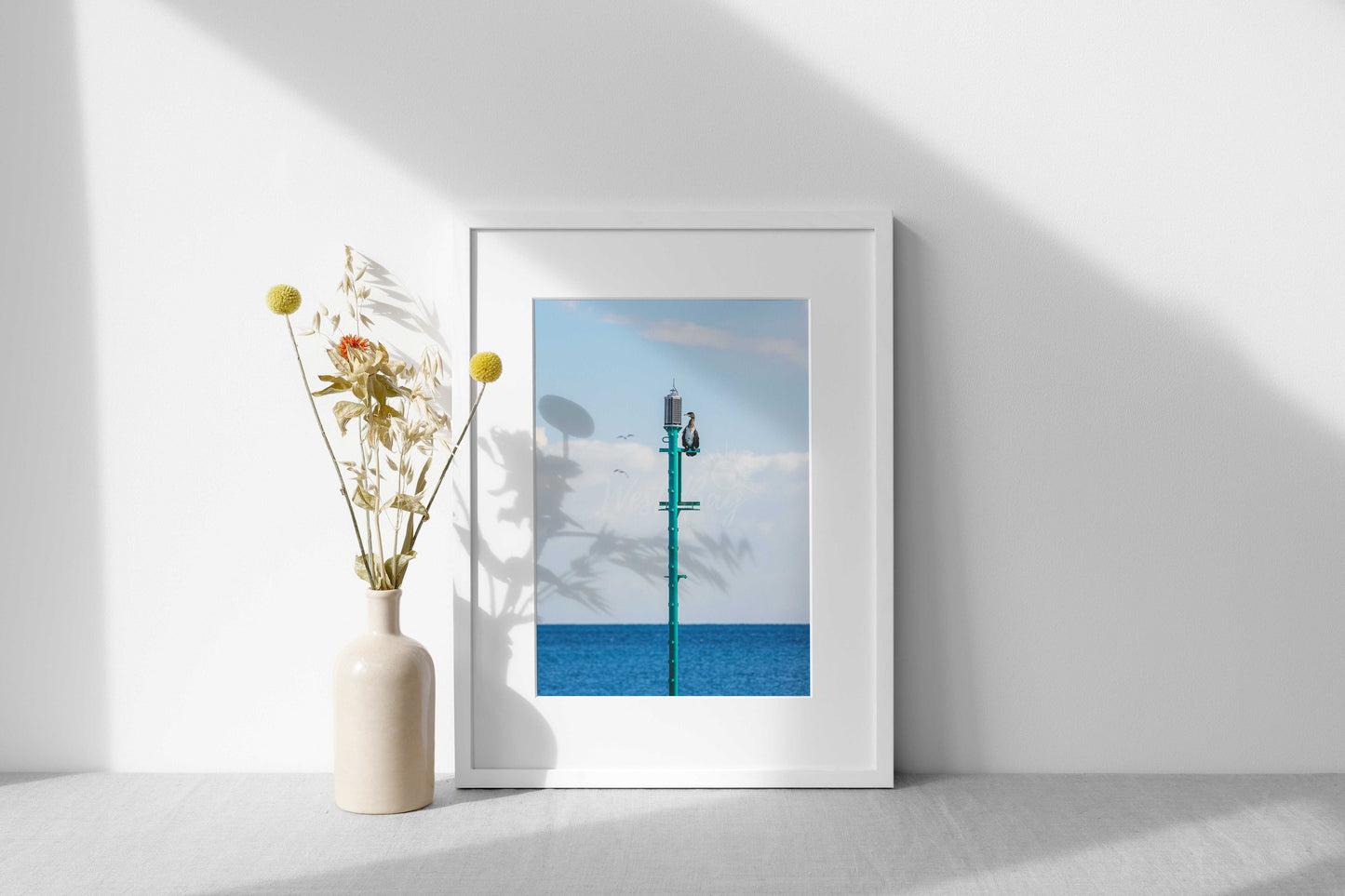The Lookout Cormorant - West Bay | Dorset